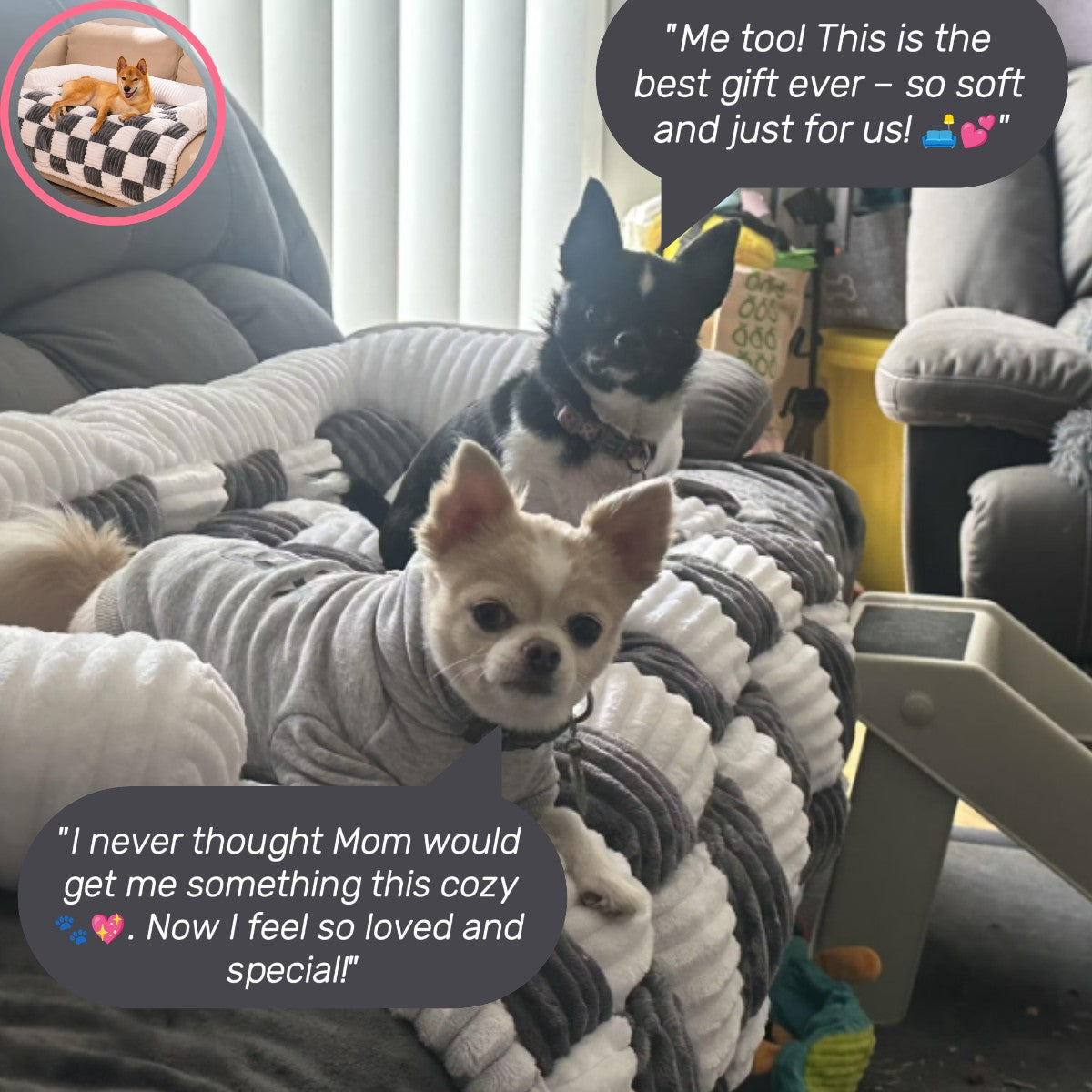 Pet Cozy Couch