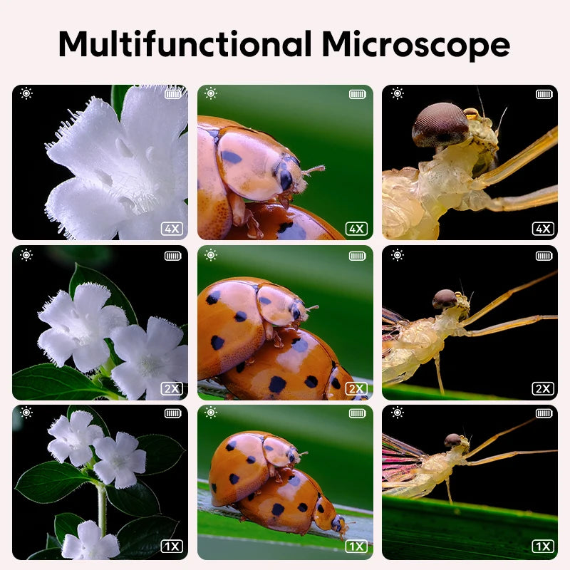 Microscope Magic