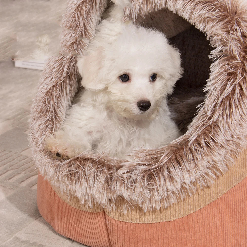 PawNest