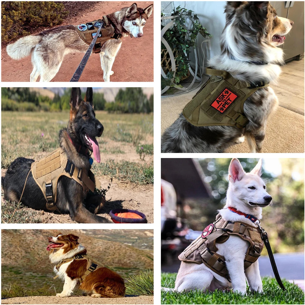 BravoHarness: Built Tough for Comfort & Control! 🐾🐕