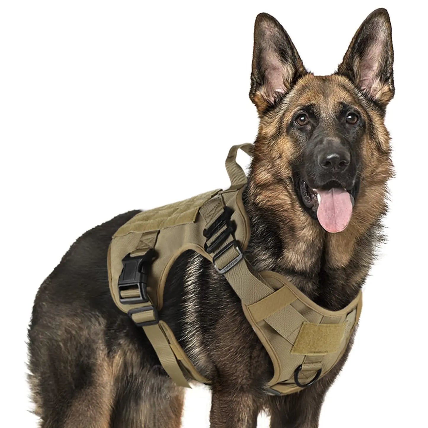 BravoHarness: Built Tough for Comfort & Control! 🐾🐕