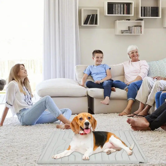 Cooling Comfort Dog Mat